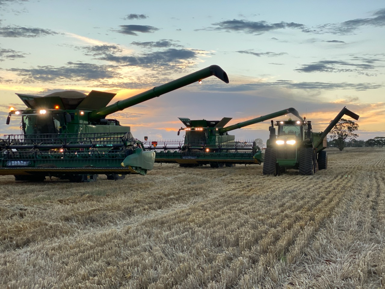 Farmers at work